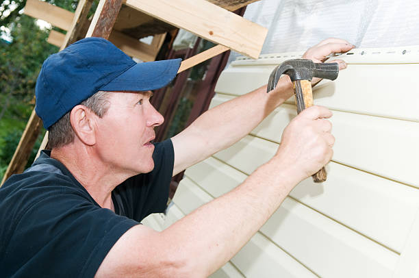 Affordable Siding Repair and Maintenance Services in Harlingen, TX